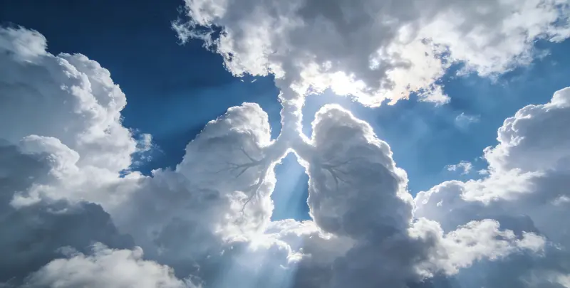 邵阳肺癌12基因ctDNA突变检测(血液）图片1